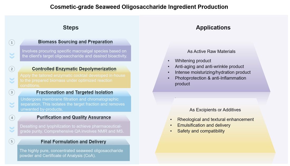 Workflow for cosmetic-grade seaweed oligosaccharide ingredient production. (CD BioGlyco)